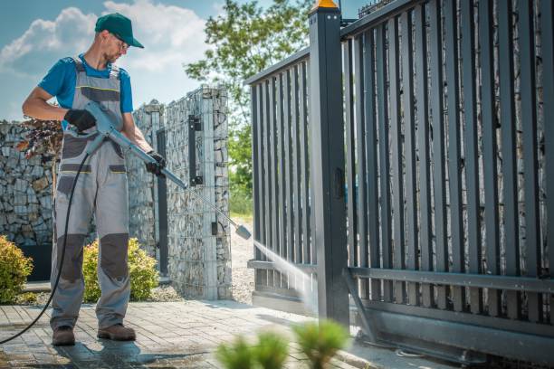 Best Gutter Cleaning  in Fruitland, MD