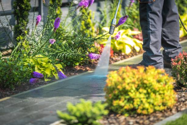Best Sidewalk and Walkway Cleaning  in Fruitland, MD