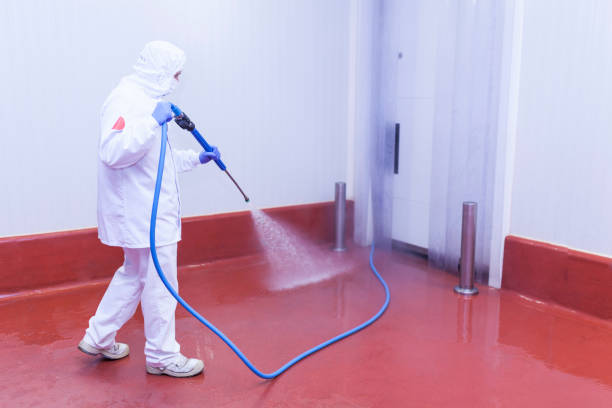 Best Playground Equipment Cleaning  in Fruitland, MD