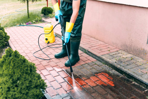 Best Patio and Deck Pressure Washing  in Fruitland, MD