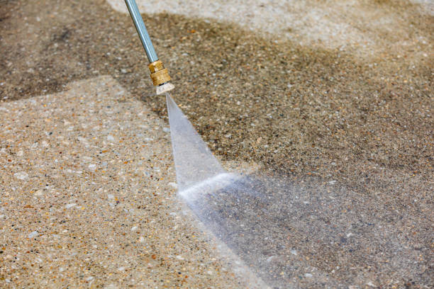 Best Roof Washing  in Fruitland, MD