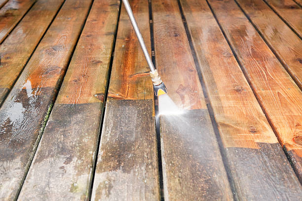 Best House Exterior Washing  in Fruitland, MD